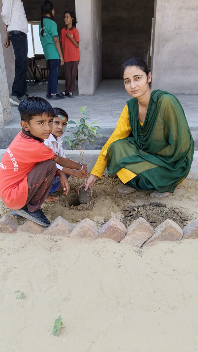PLANTATION IN THE SCHOOL PREMISES - Image 8
